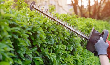 Landscape-Maintenance-1