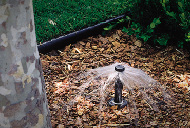 irrigation01