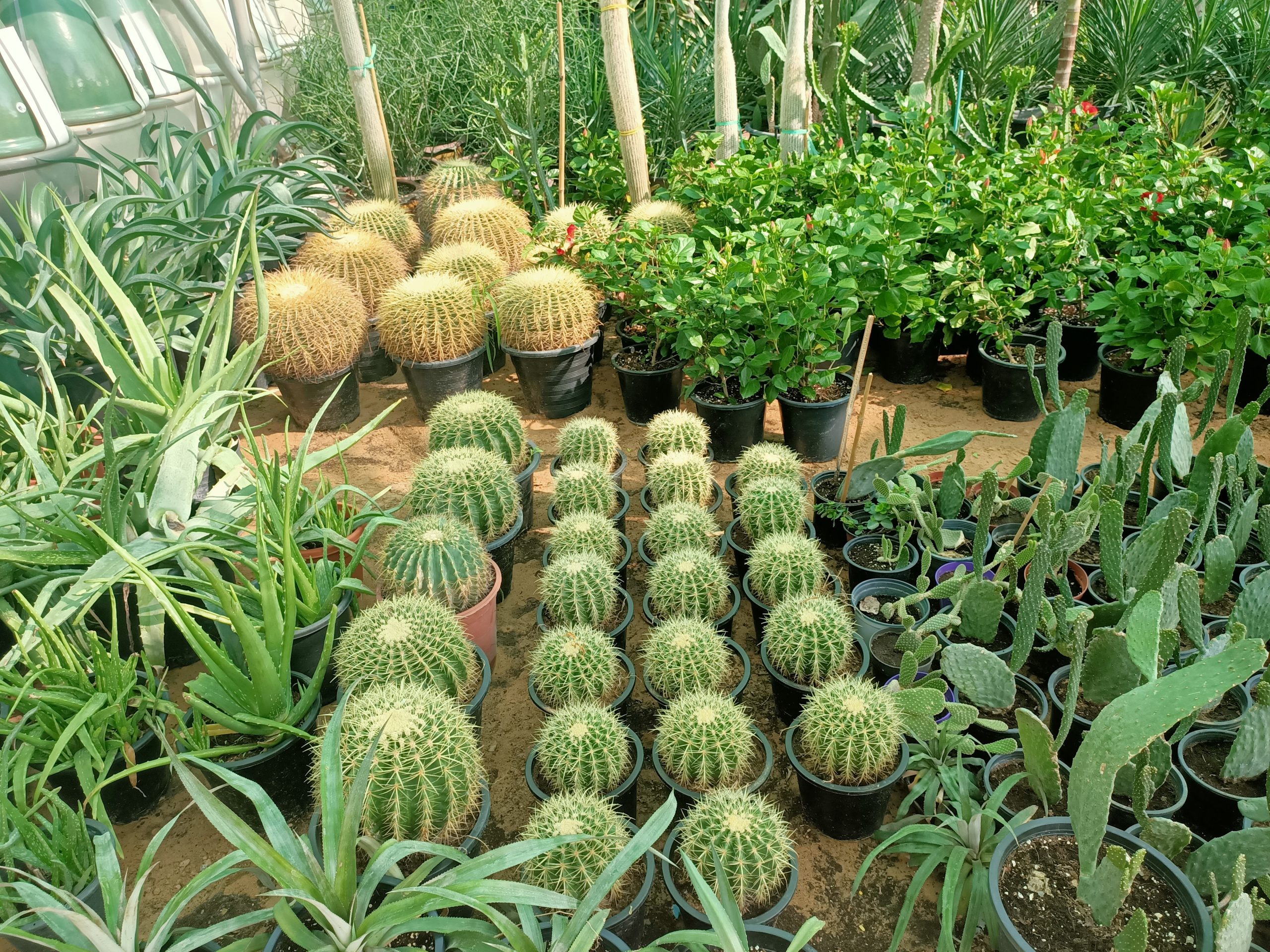 material-supply08-scaled.jpg